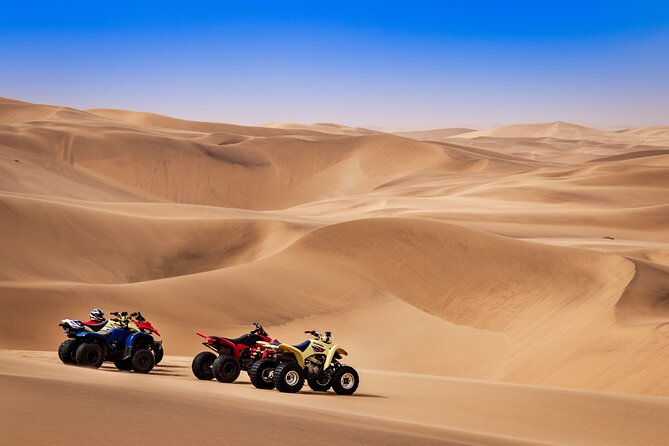 Doha: Quadbike, Dune Bashing, Camel Ride, Inland Sea Visit - Camel time and a taste of Bedouin culture
