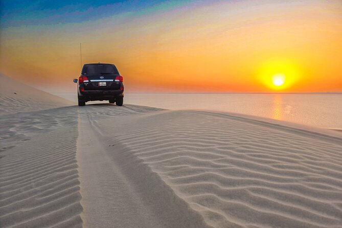 Doha Safari Adventures, Dune Bashing, Sand Buggy, Camel Ride Tour - What the $77.50 price really covers