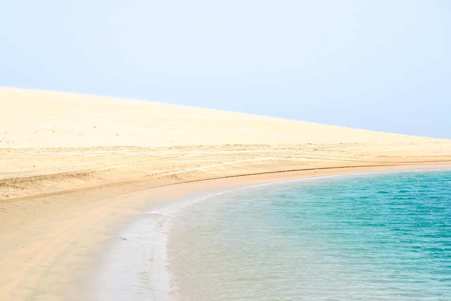 Doha: Safari, ATV, Camels, Sandboarding and Inland Sea Tour - Khor Al Adaid, where the dunes meet the sea