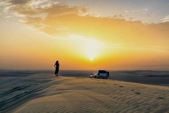 Doha: Safari, Dune bashing, Camel Ride, Sandboarding & Inland Sea - Sandboarding on the dunes