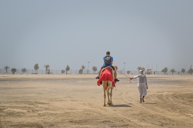 Doha: Safari, Dune bashing, Camel Ride, Sandboarding & Inland Sea - Khor Al Adaid and the meeting of sand and sea