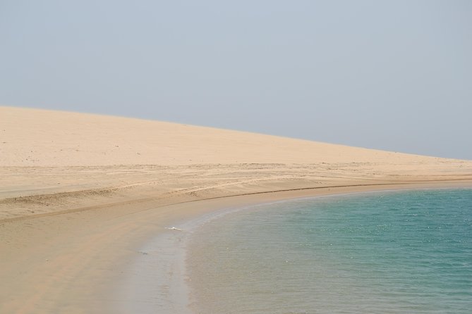 Doha: Safari, Dune bashing, Camel Ride, Sandboarding & Inland Sea - Is $65.70 a fair price?