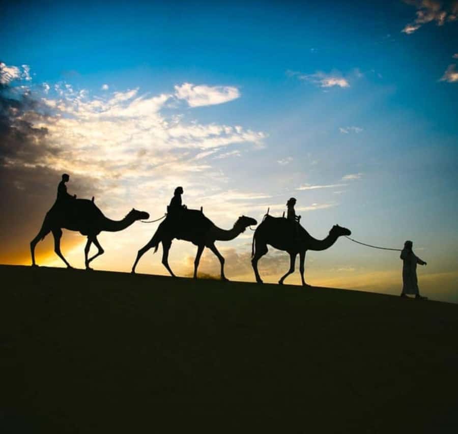 Doha: Stargazing Desert Safari w/ Dune Bashing & Camel Ride - Why the night sky makes this Doha desert safari different