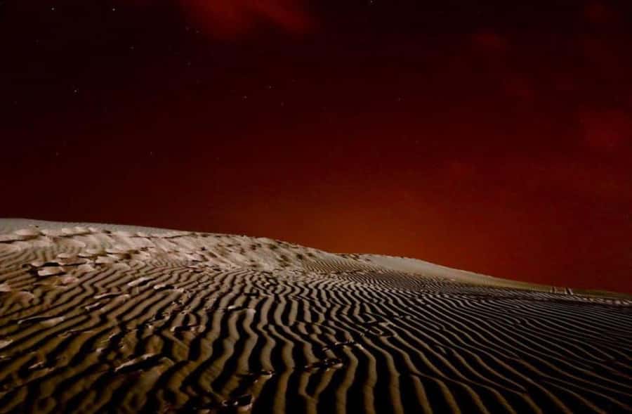 Doha: Stargazing Desert Safari w/ Dune Bashing & Camel Ride - Dune bashing is the loud, lively middle act