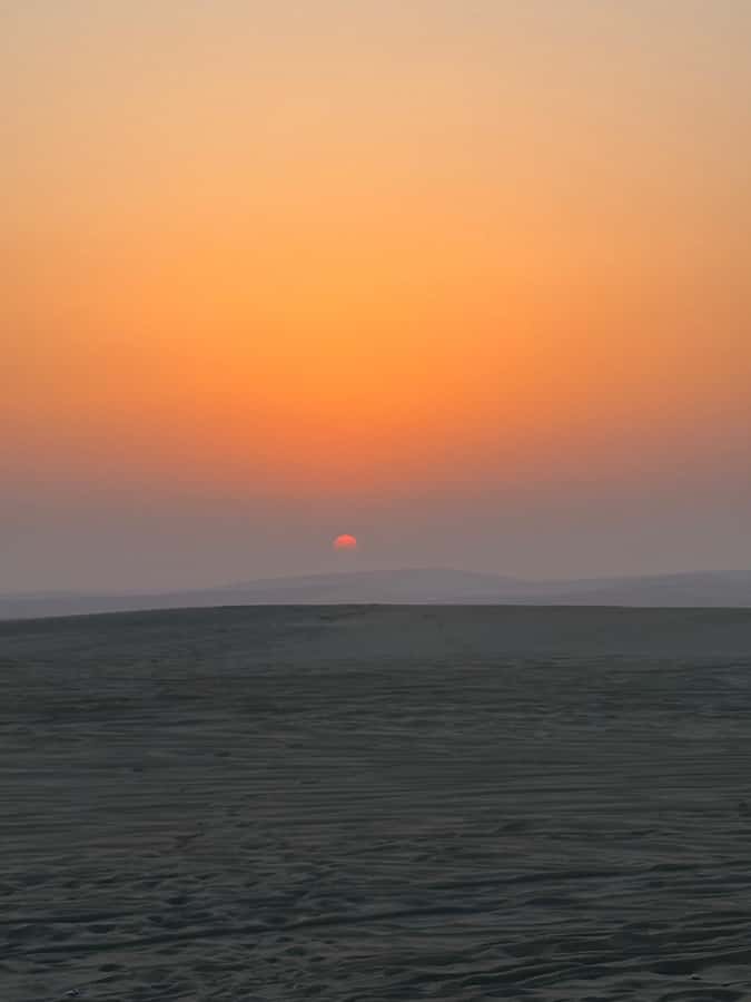Doha: Stargazing Desert Safari w/ Dune Bashing & Camel Ride - Khor Al Udaid joins desert views with the sea