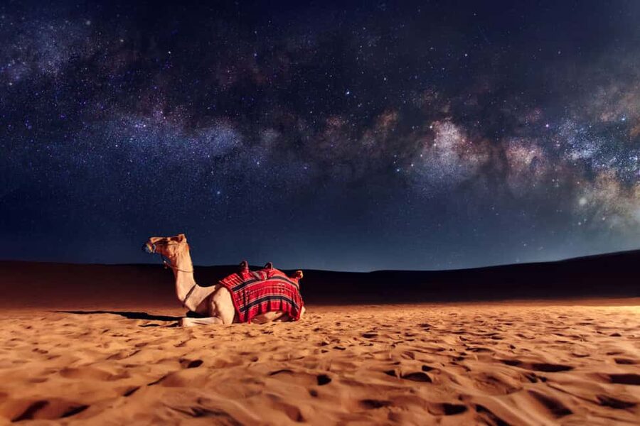 Doha: Sunset Desert Safari, ATV, Camel Ride and Sandboarding - Why this desert trip is worth your afternoon