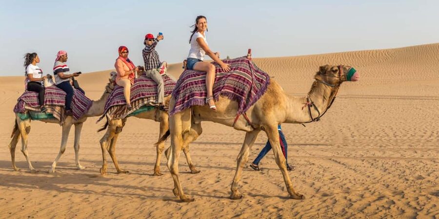 Doha: Sunset Desert Safari, ATV, Camel Ride and Sandboarding - Sandboarding down the dunes