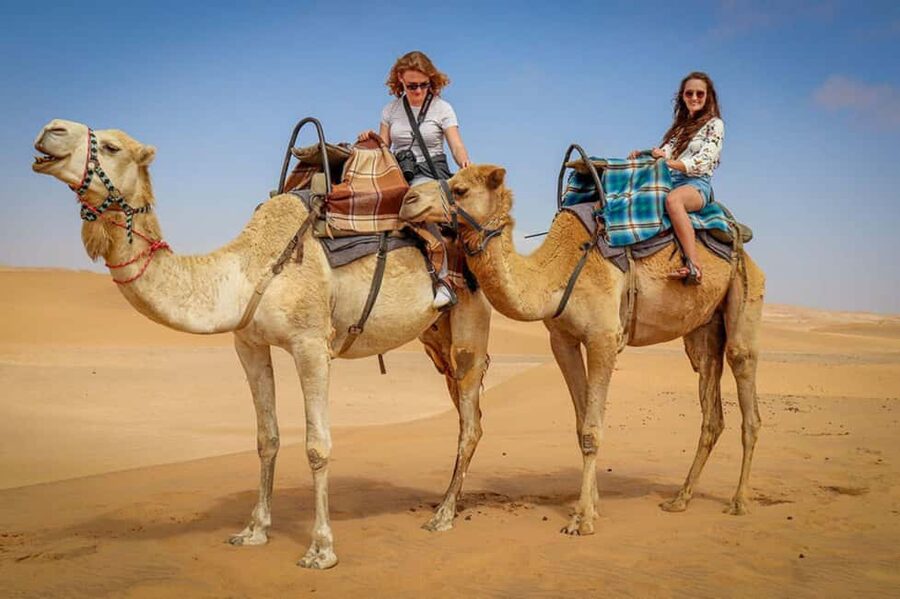 Doha: Sunset Desert Safari, ATV, Camel Ride and Sandboarding - What the guide adds to the experience