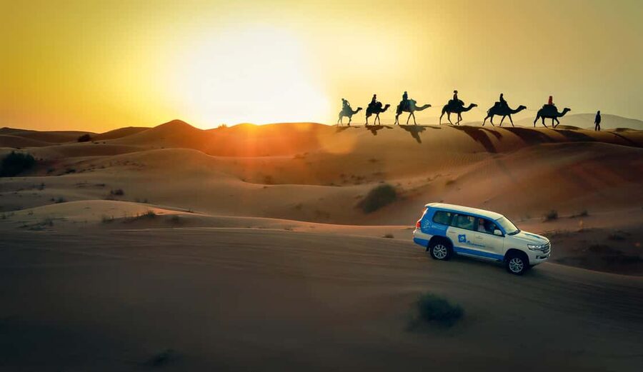 Doha: Sunset Desert Safari, ATV, Camel Ride and Sandboarding - The camel stop is short but memorable
