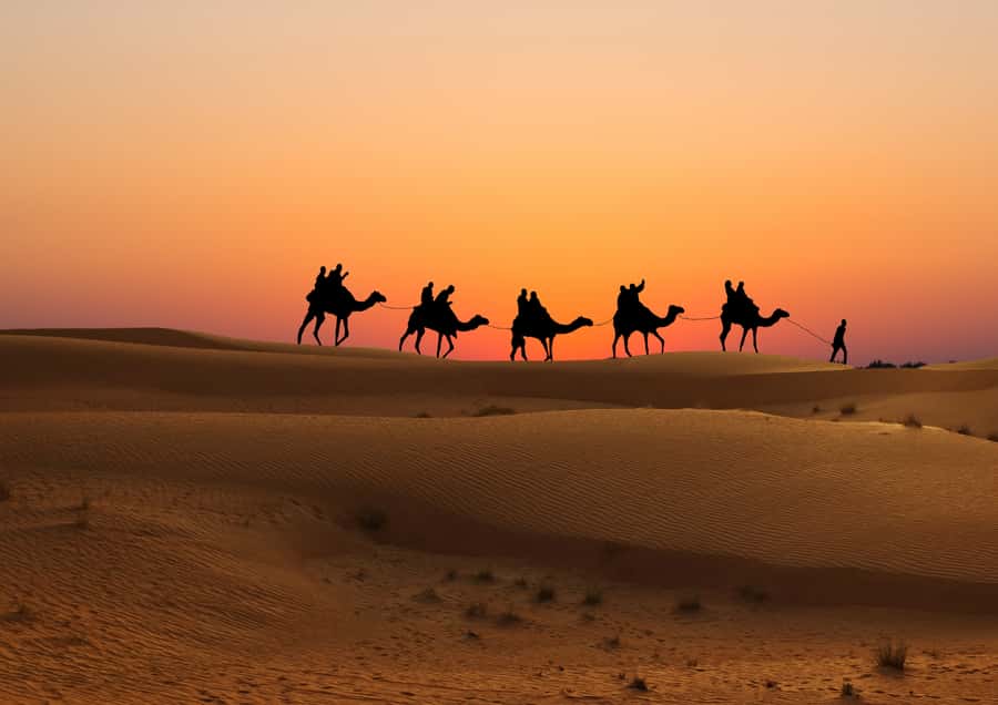 Doha: Sunset Safari, Dune Bashing, Sandboarding & Camel Ride - Should you book it?