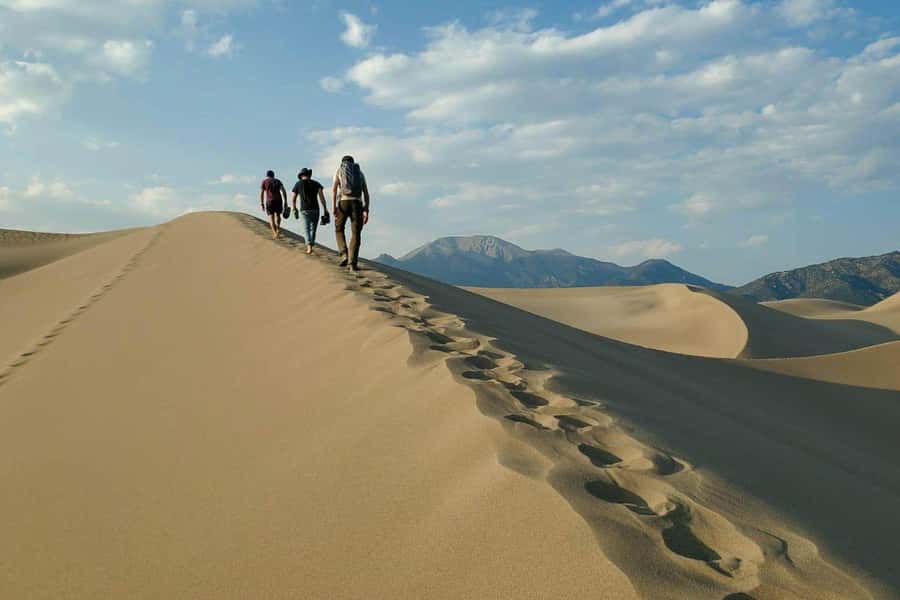 Doha: Thrilling 4x4 Desert Safari, Inland Sea-All Activities - Key points at a glance