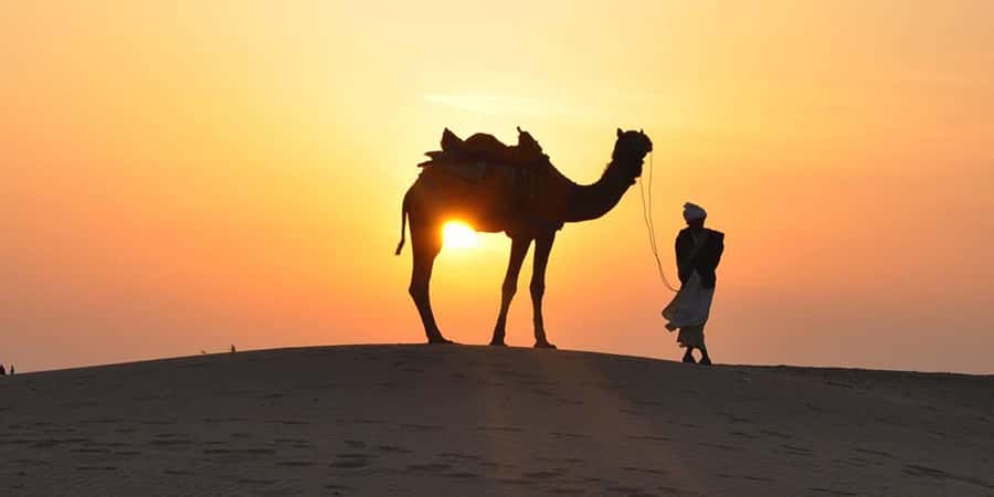 Doha: Thrilling 4x4 Desert Safari, Inland Sea-All Activities - Practical preparation for four hours in the sand