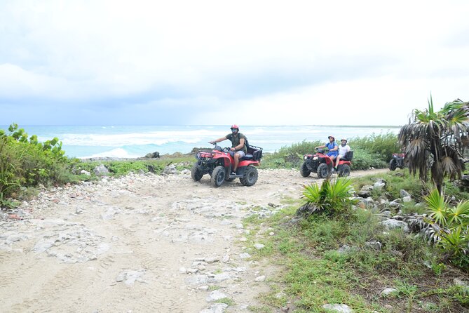 Double Atv Tour In Cozumel And Cenote Jade - The Mi Mexico Lindo tequila seminar