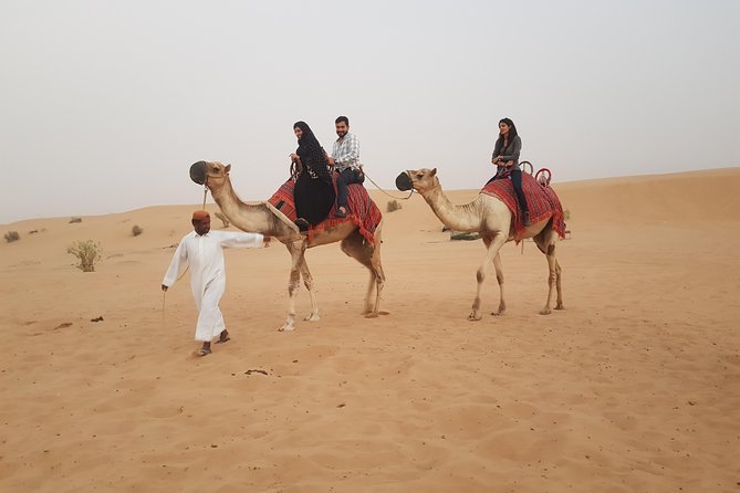 Dubai 4x4 Desert Safari, Quad Bike, Camel Ride & BBQ Dinner - Who Will Like This Desert Safari?