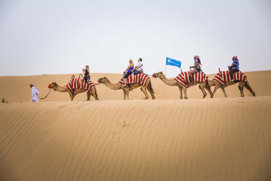 Dubai: Adventure Quad Bike Safari, Camel Ride & Refreshment - Tea, dates, shade, and a chance to cool off