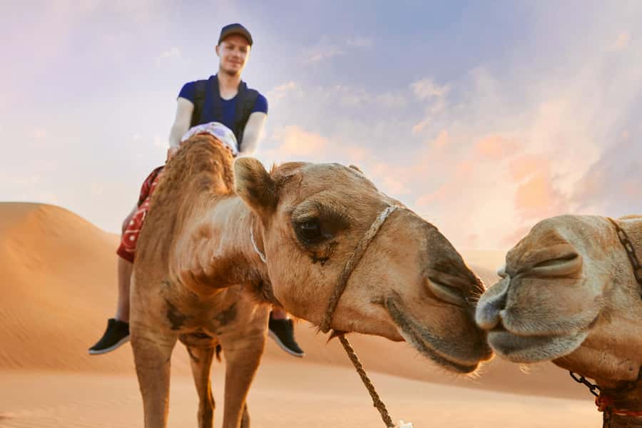 Dubai Desert Safari - Camel Ride, Sandboarding & 30 Min Quad - What the $36 price really gives you