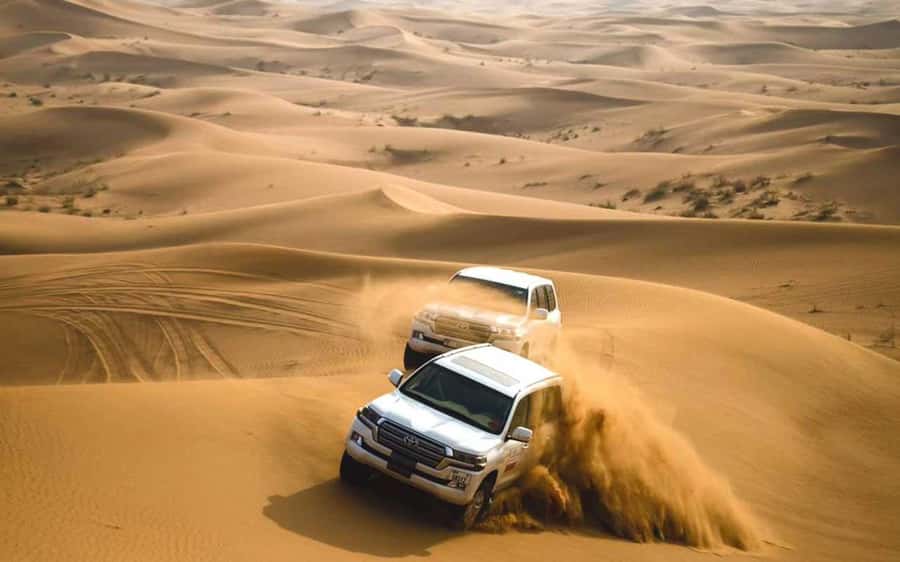 Dubai: Desert Safari, Camel Ride, Sandboarding, Quad Bike - Who will enjoy this desert safari most