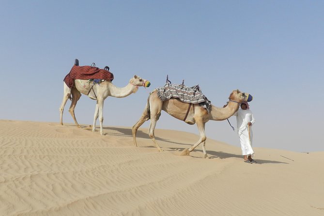 Dubai Desert Safari Dune Bashing, 60min ATV Quad, Camel Ride, BBQ - What the $56.05 price really covers
