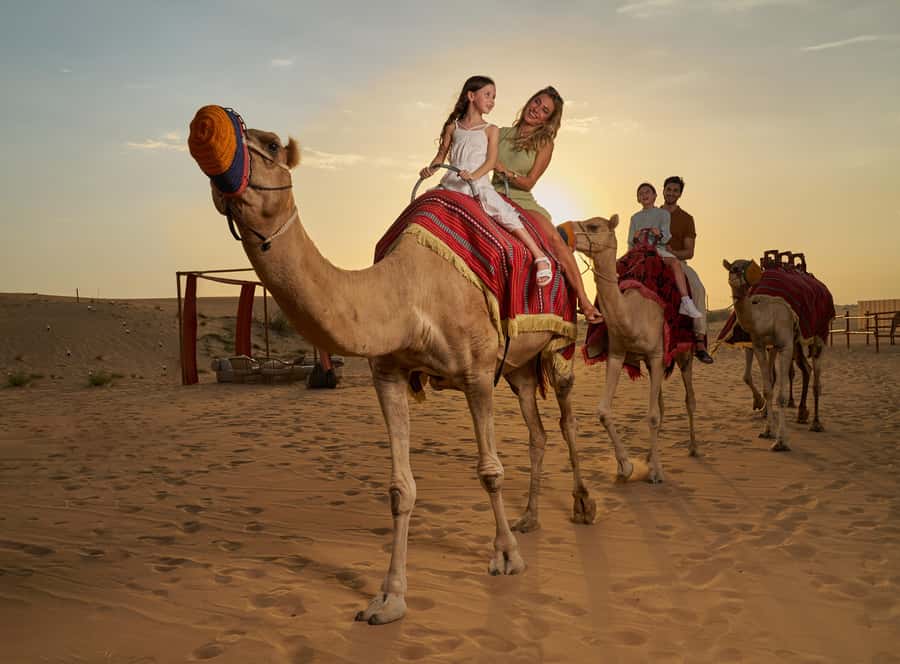 Dubai: Desert Safari, Quad Bike & Premium Camp Experience - From Dubai Hotel Pickup to the Red Dunes