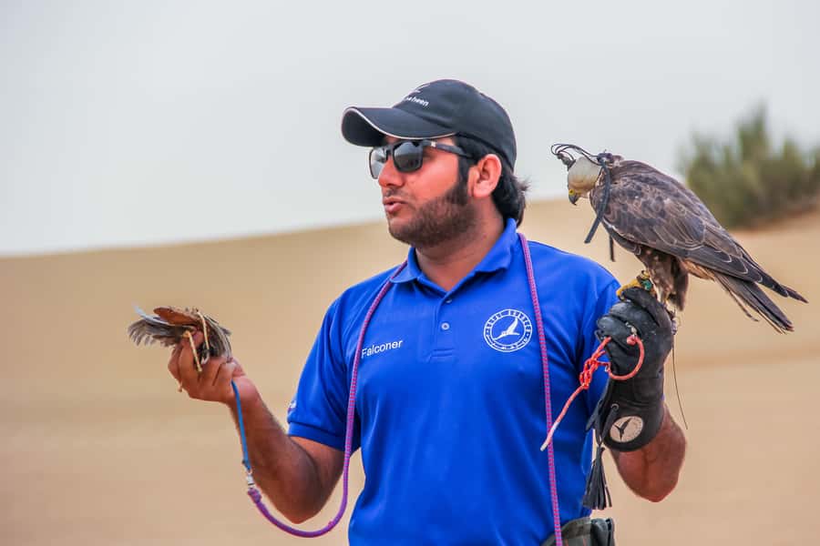 Dubai Desert Safari, Quad Biking, Camel Ride, & Sandboarding - The guides can shape the whole day
