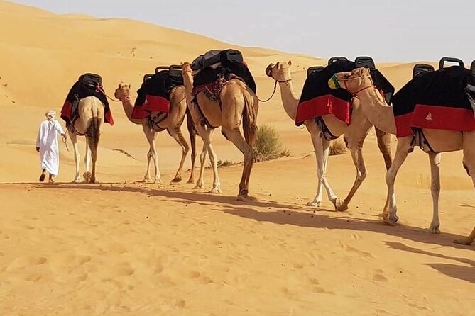Dubai Desert Safari with Dune Bashing, Camel Ride, & BBQ Dinner - Camel riding and sandboarding before the main drive