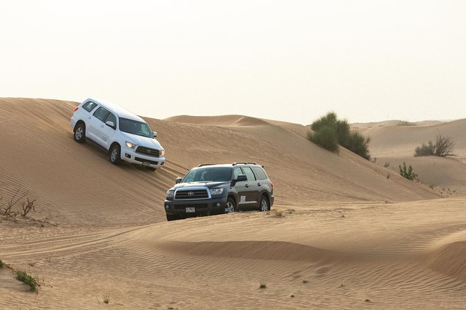 Dubai Desert Safari with Quads, BBQ Dinner, Camel ride, & Shows - How the tour handles time and comfort