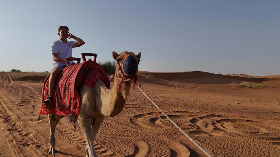 Dubai: Dune Buggy Safari and Camel Ride with Transportation - Is $245 good value for two?