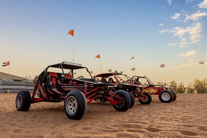 Dubai Dune Buggy Safari Tour in Red Dunes Options - Who this desert outing suits best