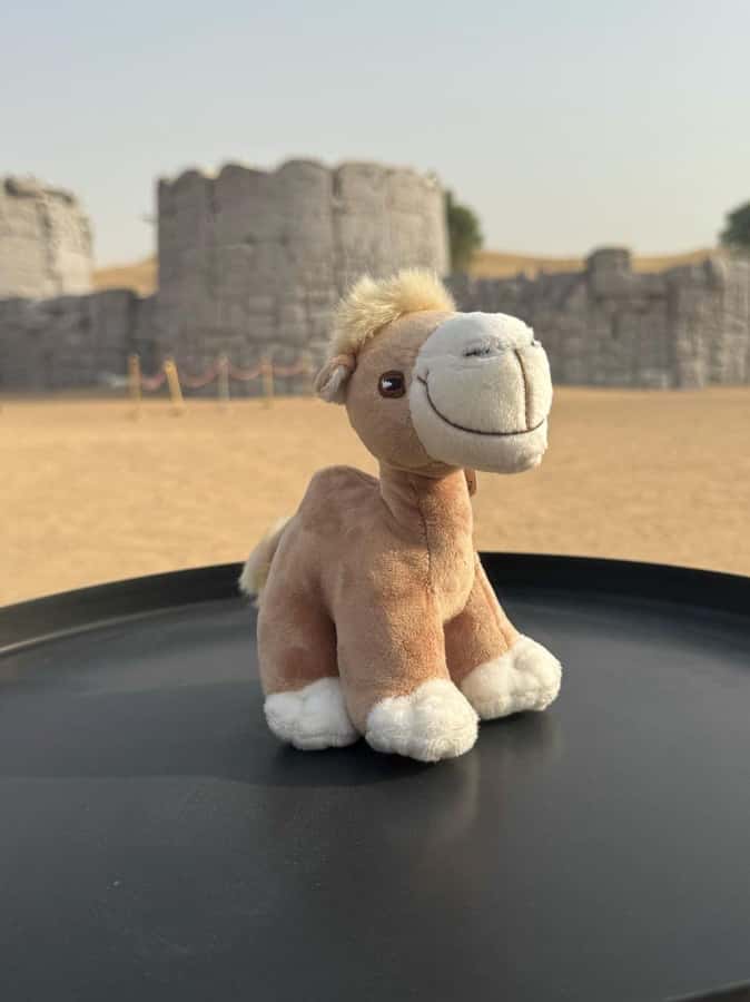 Dubai Fort Lisaili Desert: Quad, Buggy Ride & Free Souvenir - Fire, tanoura, and belly-dance performances