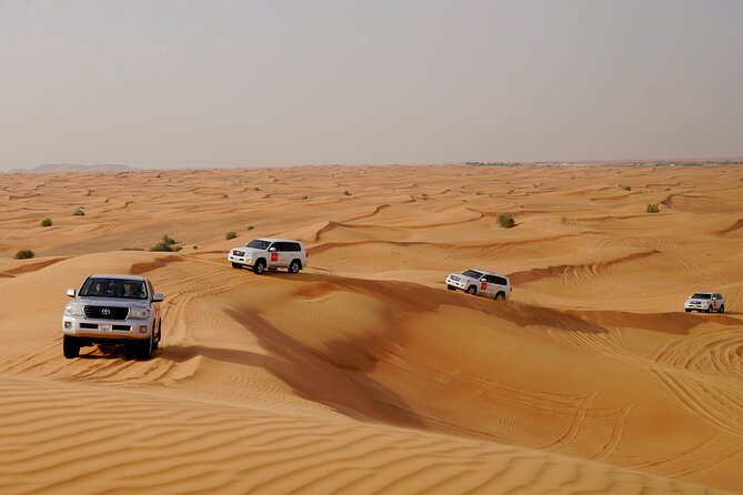 Dubai Morning Desert Safari with Quad Biking & More Activities - Who will enjoy this desert safari most
