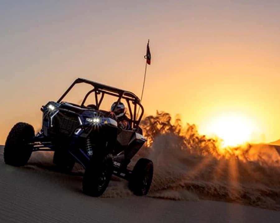 Dubai: Polaris RZR and Sandboarding Desert Adventure - Sandboarding, photos, and a drink break