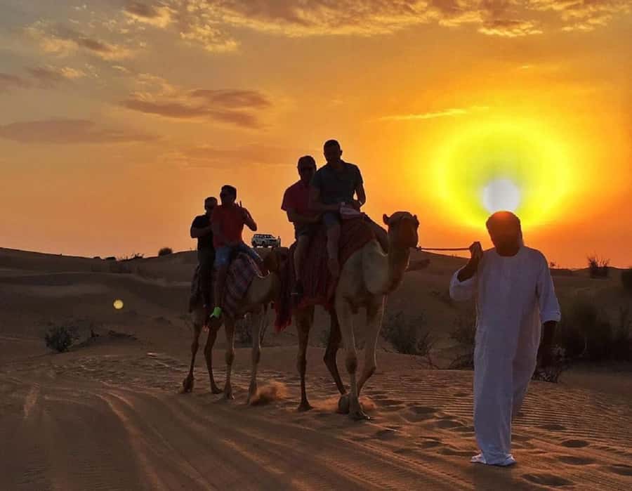 Dubai: Polaris RZR and Sandboarding Desert Adventure - What the $185 group price really covers