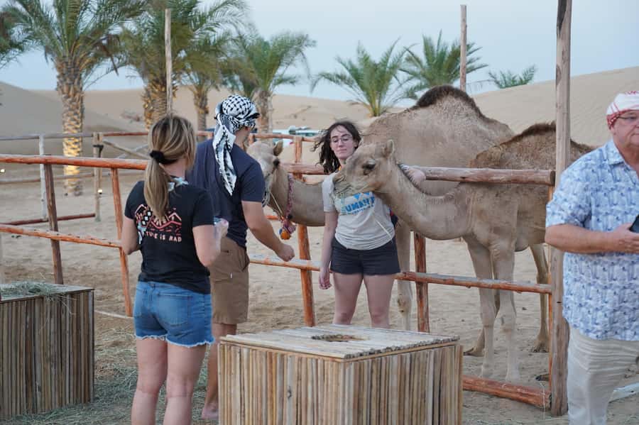 Dubai: Red Dune Desert Safari, Quad Bike, Camels, and BBQ - Tea, dates, and a traditional camp evening