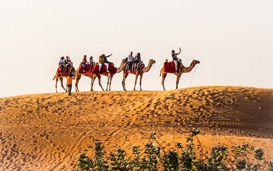 Dubai: Red Dune Safari, Quad Bike, Camel Ride, BBQ Dinner - Quad biking across the desert track