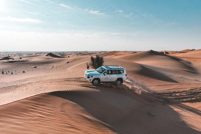 Dubai Red Dunes Safari: Dune Bashing, Camel Ride & Breakfast - Red dunes, wildlife, and a quieter side of Dubai