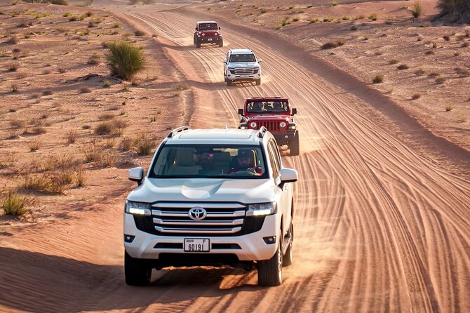 Dubai Red Dunes Safari: Dune Bashing, Camel Ride & Breakfast - Wildlife spotting inside the conservation reserve