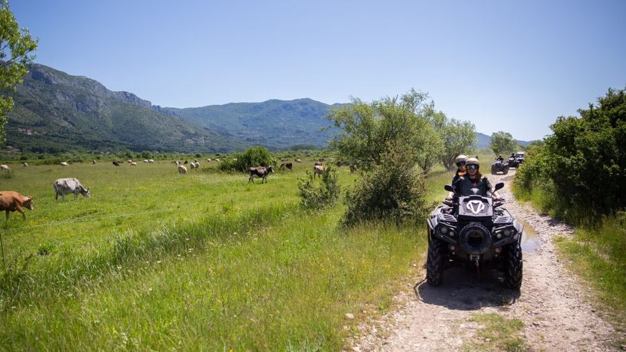 Dubrovnik: Kojan Koral ATV Quad Safari with transport - The return route adds rocks, water, and viewpoints