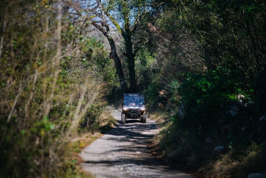 Dubrovnik: Private Panoramic Half-Day Buggy Tour with Brunch - Countryhouse Ano and the olive oil tasting