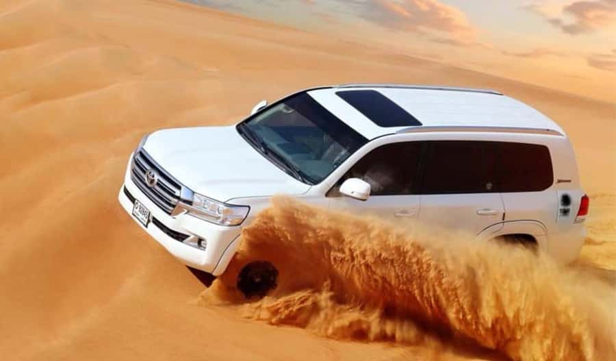 Dune Bashing &Beyond The Ultimate Desert Safari From Doha - Sealine Beach Resort and the meeting of sand and coast