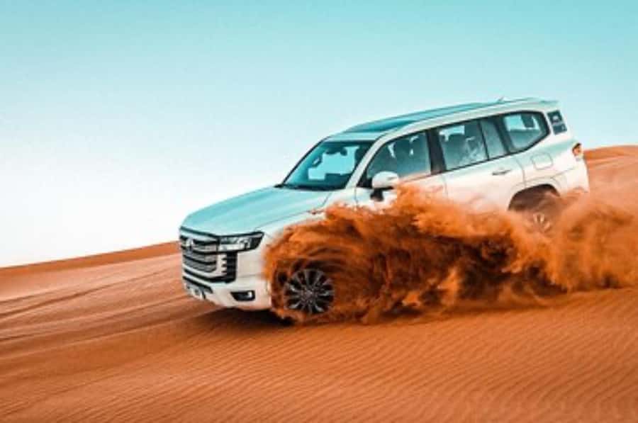 Dune Bashing &Beyond The Ultimate Desert Safari From Doha - Camel riding and the private option