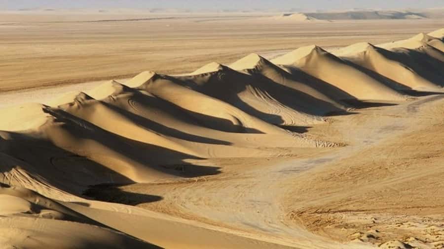 Dune Bashing, Sandboarding, Camel Ride & Optional ATV Ride - Four hours from Doha to the Inland Sea