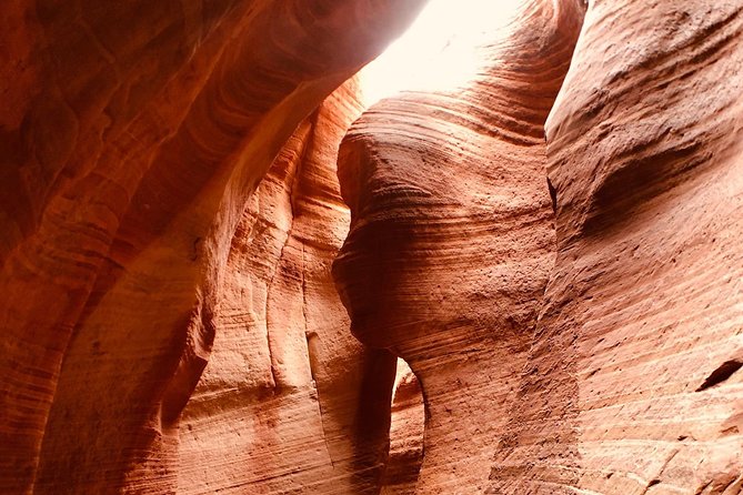 East Zion 4 Hour Slot Canyon Canyoneering UTV Tour - Who should book this East Zion tour