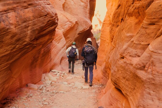 East Zion Canyoneering: Elkheart Canyon & UTV Tour - What the UTV and canyon combination is worth
