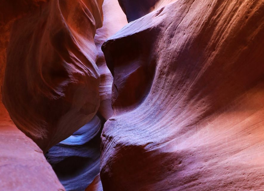 East Zion: Crimson Slot Canyon Exploration and UTV Tour - Practical details that save trouble