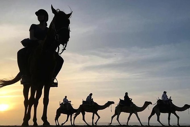 Essaouira Activities: Discover Essaouira by Quad - The Atlantic edge beyond Essaouira