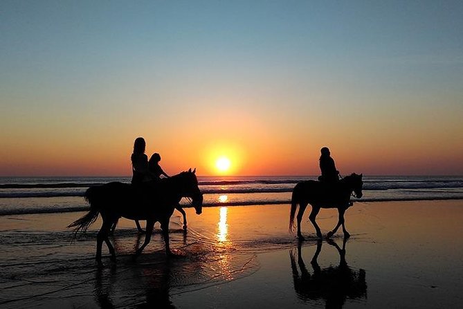 Essaouira Activities: Discover Essaouira by Quad - What the title means for your booking