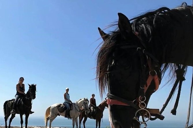Essaouira Activities: Discover Essaouira by Quad - Private touring and guide communication