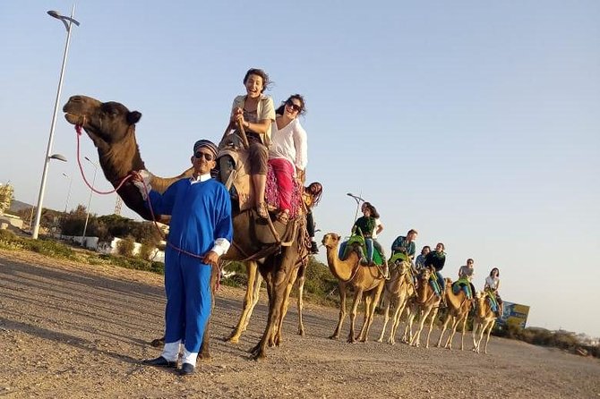 Essaouira Activities: Discover Essaouira by Quad - How the $46.34 price measures up