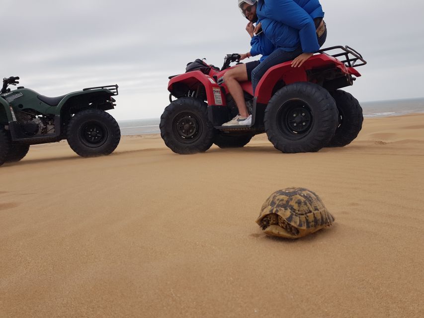 Essaouira P12 : 1h Quad bike tour and 1h dromedary Ride - Quick points to know