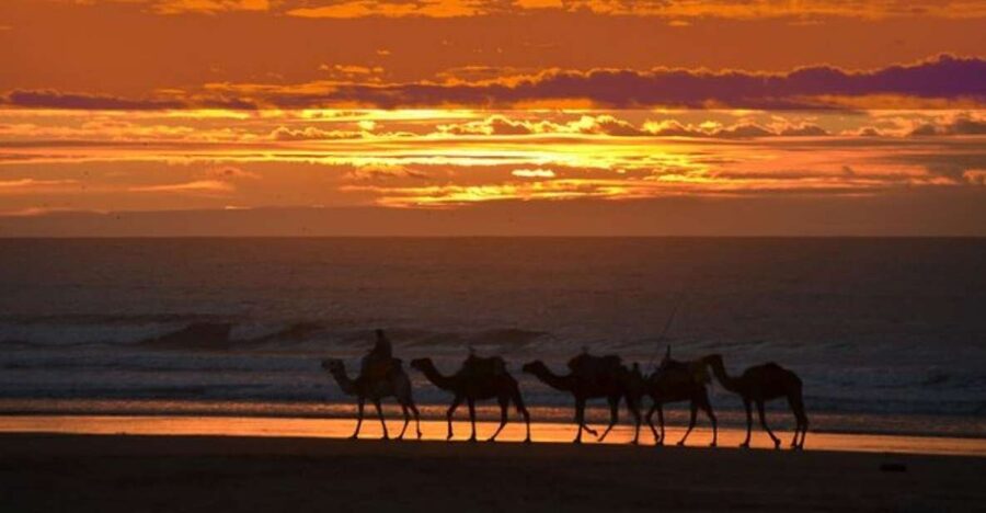 Essaouira P12 : 1h Quad bike tour and 1h dromedary Ride - Cap Sim lighthouse and Sidi Kaouki options